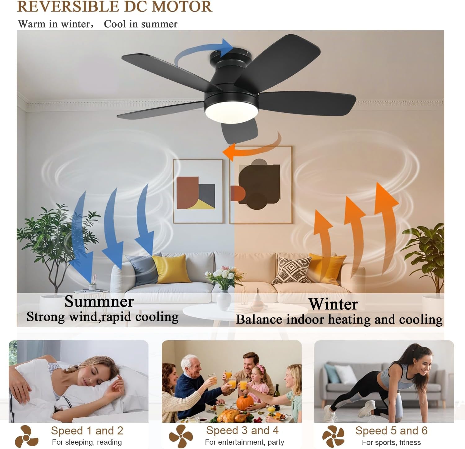 42 Inch Black Ceiling Fan With Light