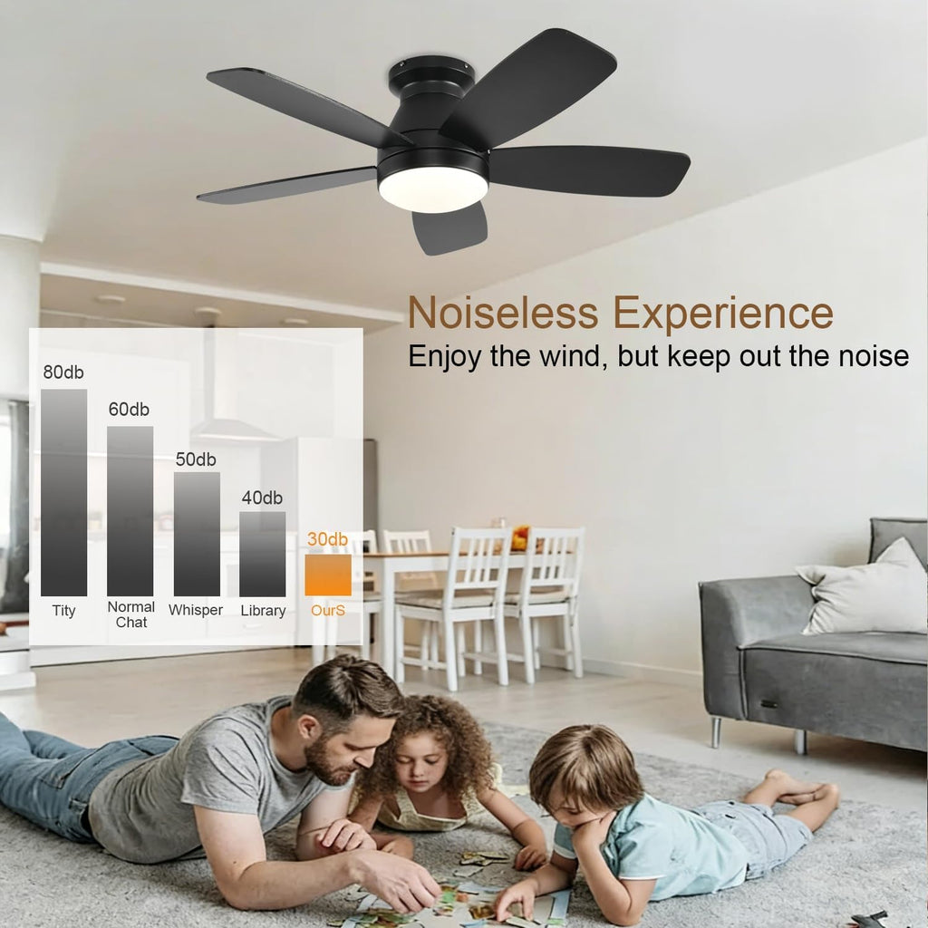 42 Inch Black Ceiling Fan With Light